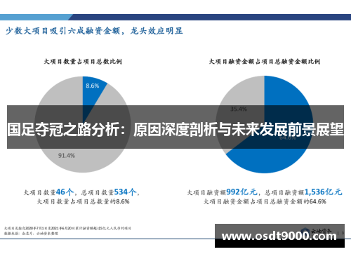 国足夺冠之路分析：原因深度剖析与未来发展前景展望