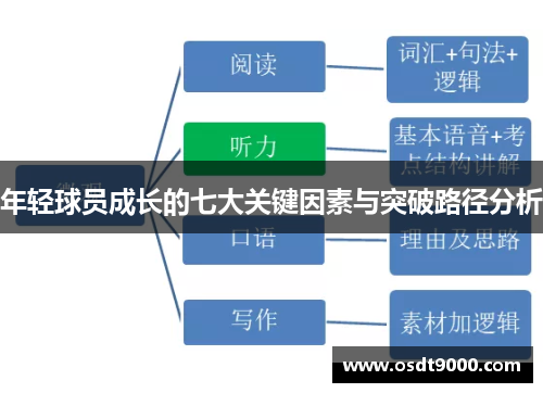 年轻球员成长的七大关键因素与突破路径分析