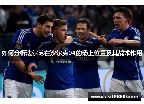 如何分析法尔范在沙尔克04的场上位置及其战术作用